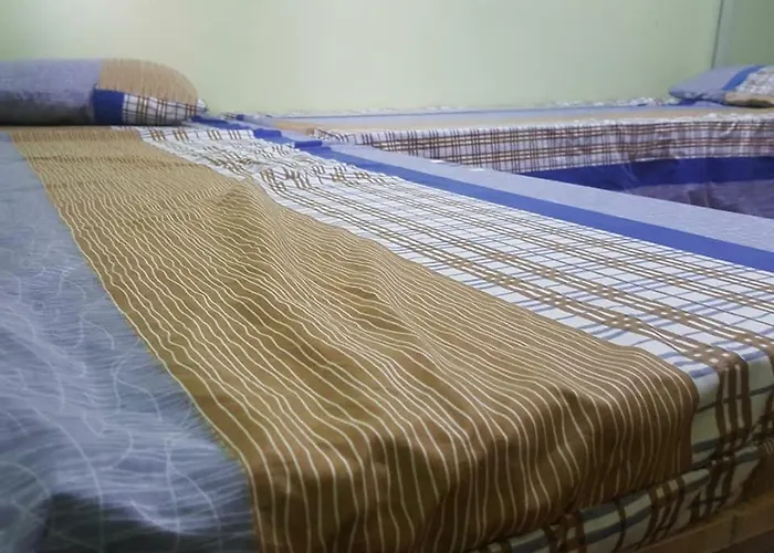 Hostel Madame O'chelle's Dormitel *