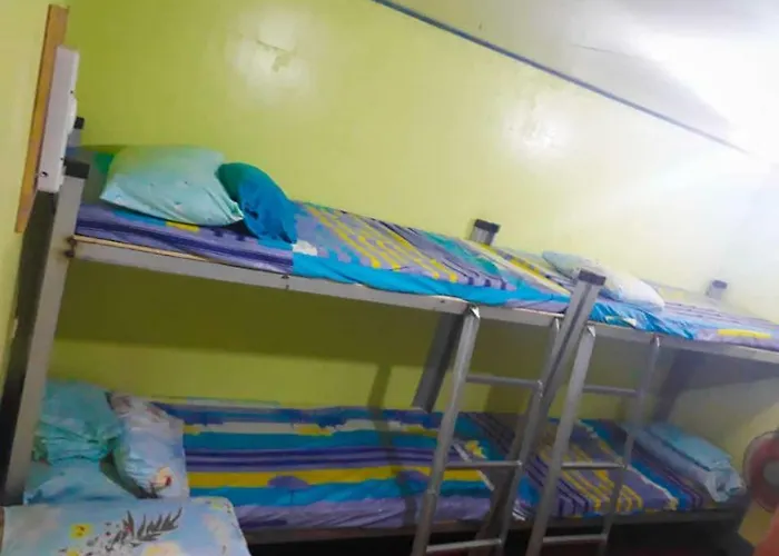 Hostel Madame O'chelle's Dormitel